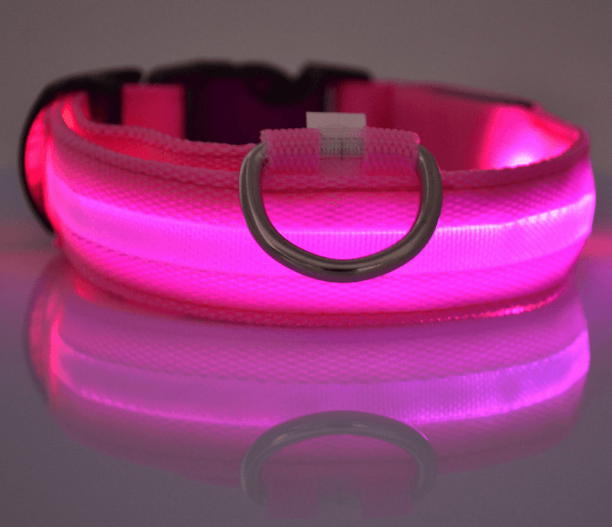 Collar luminoso LED nocturno